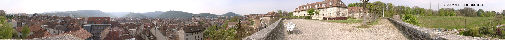 Fort Griffon